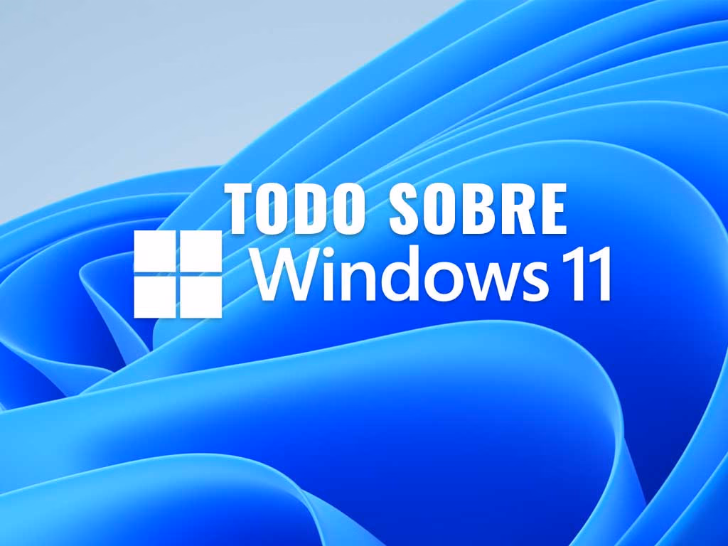 todo sobre windows 11