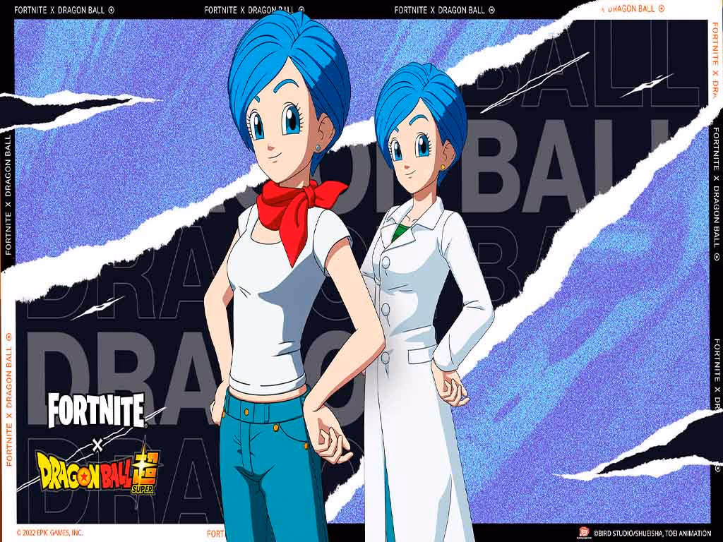 Bulma fornite