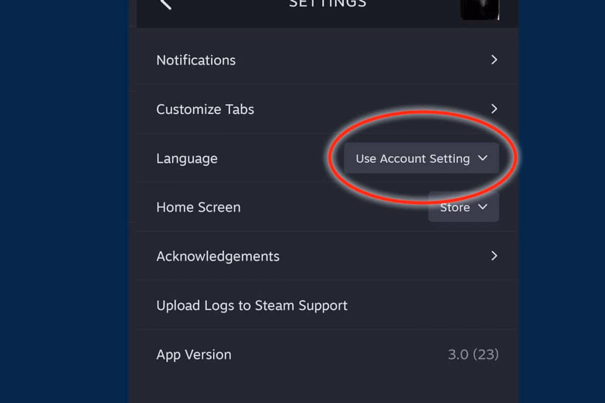 ¿Como cambiar el idioma de tu App Steam?