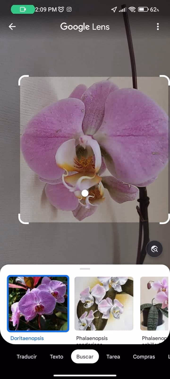 Búsqueda Google lens