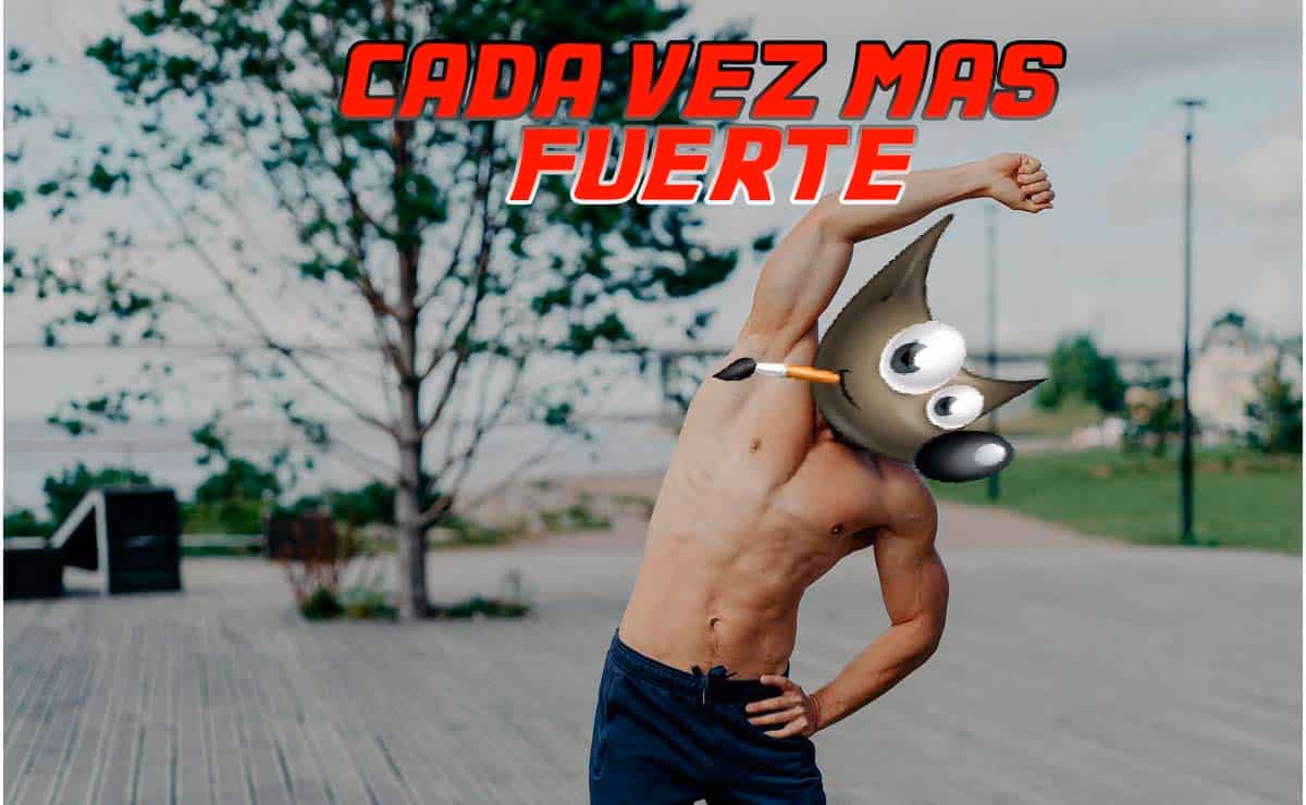Falta poco para GIMP 3.0