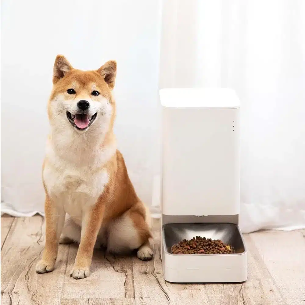 Xiaomi alimentador para perros