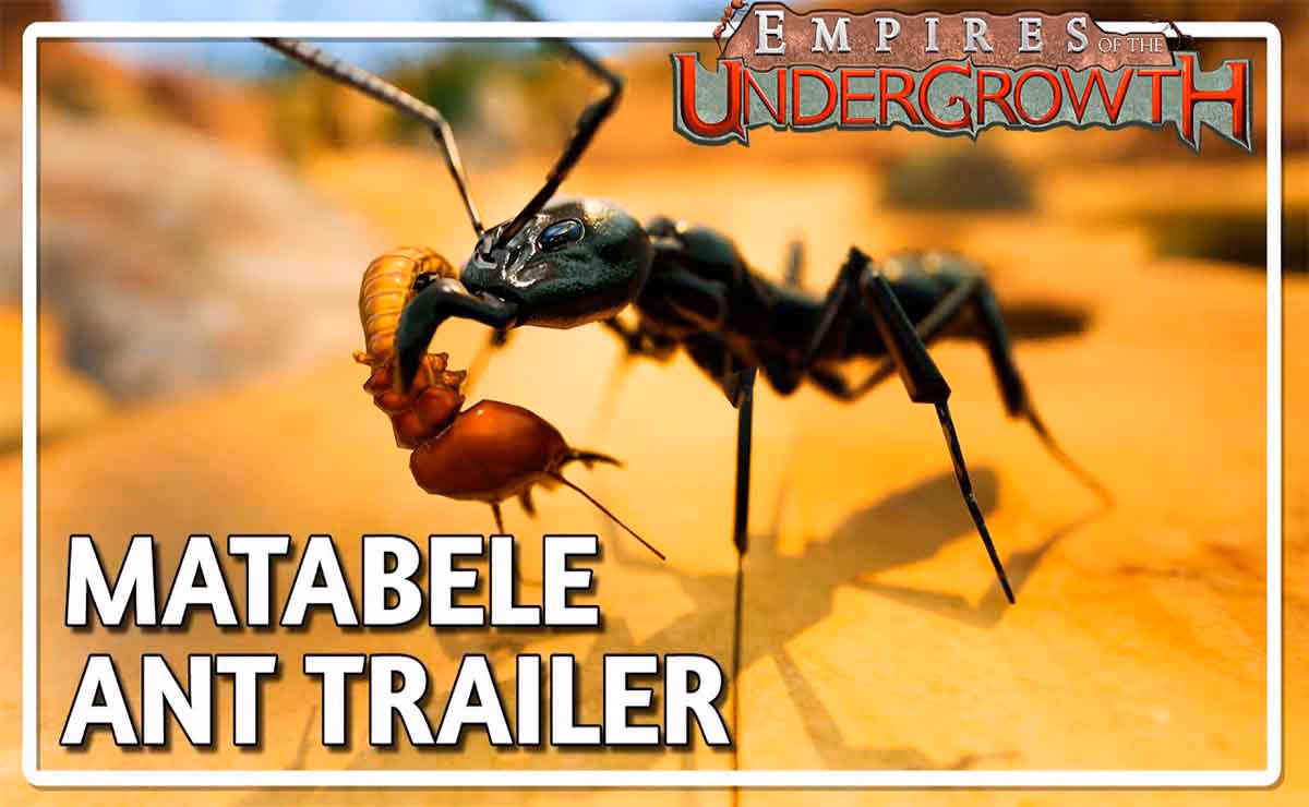 Empires of the Undergrowth: Un juego de estrategia subterránea